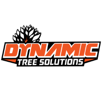 Dynamic tree solutions 200x200